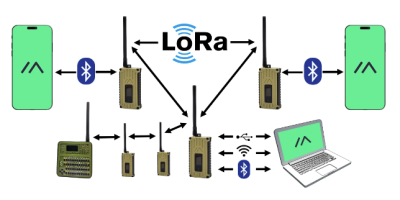 LoRa Mesh Network Diagram